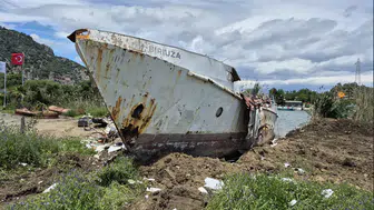 Paslı Geminin İçinden Yükselen Orman: SS Ayrfield'in Hikayesi Nedir?