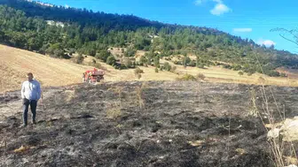 Kütahya Emet'te Ot Yangını: 2 Dekar Alan Zarar Gördü