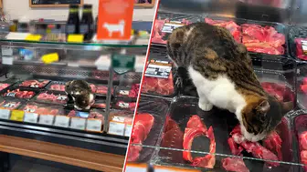 Bursa'daki Market Skandalına Ağır Cezai İşlem Uygulandı