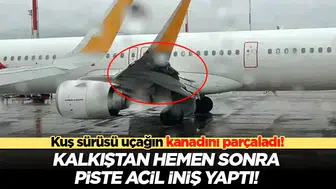 Kuş Sürüsüne Çarpan Yolcu Uçağı Acil İniş Yaptı