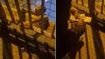 Sultanbeyli'de Trafik Cezası Sonrası İntihar Girişimi