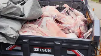 Batman'da kaçak kesim denetimi : 52 bin 801 lira ceza uygulandı !