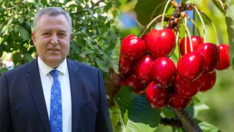Nif Kirazı için coğrafi işaret süreci başladı