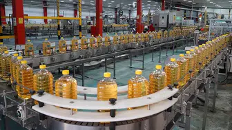 Türkiye'nin Ayçiçeği Yağı İhracatı 9 Ayda 932 Milyon Dolara Ulaştı