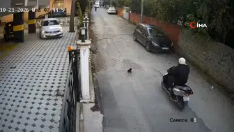Osmaniye'de Motosikletin Çarptığı Kedi Öldü