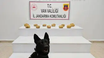 Van'da uyuşturucu operasyonu : 11 kilo 958 gram esrar ele geçirildi