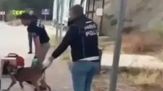 Sinop'ta uyuşturucu operasyonu