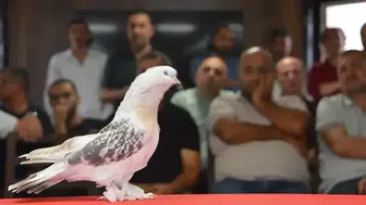 Emekli astsubay güvercinleri için ev kiraladı : Aylık masrafı 10 bin lira