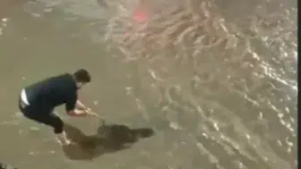 Batman'da etkili olan sağanak hayatı olumsuz etkiledi