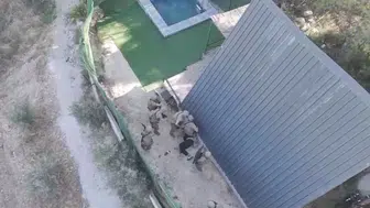 İzmir'de 9 yıldır aranan firari hükümlü yakalandı
