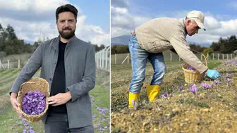 Yapay zeka desteğiyle üretimi katladı: Kilosu 1.4 milyon liradan satılıyor