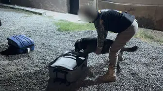 Iğdır merkezli uyuşturucu operasyonunda 6 tutuklama