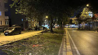 Eyüpsultan'da Asırlık Ağaçların Kesildiği İddiası Tepki Çekti