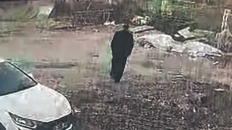 Alihan Kuriş soruşturmasında aranan Faruk Gaye yakalandı