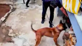 Aydın ve İzmir Merkezli Uyuşturucu Operasyonunda 5 Gözaltı