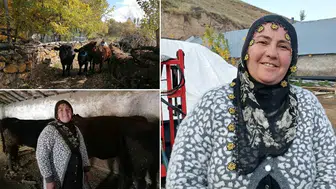 Erzurumlu 4 çocuk annesi devlet desteğiyle sürüsünü büyüttü