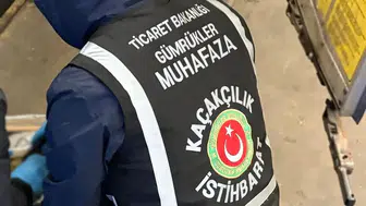 Edirne'de Gümrük Kapılarında Tarihi Eser Operasyonu