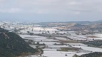 Sarıgöl'de binlerce ton üzüm örtü altında bekliyor