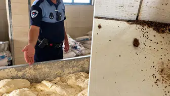 Hatay'da Fırın Denetiminde Şoke Eden Görüntüler