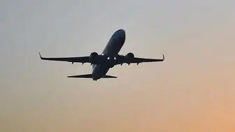 Kuş Sürüsüne Çarpan Pegasus Uçağı Acil İniş Yaptı