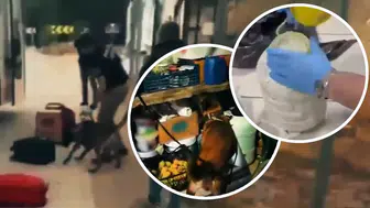 78 ilde uyuşturucu operasyonu: Binlerce gözaltı ve rekor yakalama