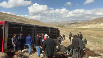 Erzurum'da Tır Devrildi: 130 Küçükbaş Hayvan Telef Oldu