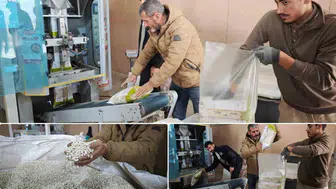 Bitlis bin 800 rakımda kuru fasulye üretim merkezi oldu