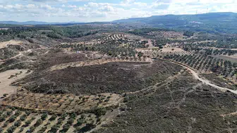 Canakkale'de Yanan Ormanlar Küllerinden Yeniden Doğuyor