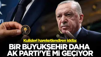 Eskişehir'de Aronya Üretimi: Şifa Deposu Süper Meyve