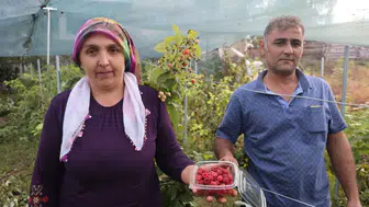 Adana'da İmkansızı Başardı: Kilosu 500 Lira Oldu!