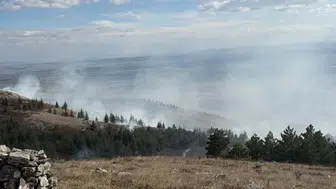 Eskişehir'de orman yangını kontrol altına alındı