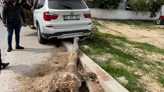 Karaman'da Kontrolden Çıkan Cip Kaldırımdaki Ağacı Devirdi