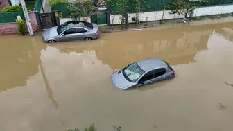 Türkiye'nin En Büyük Subasari Ormaninda Taskin!