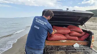 Bursa Mudanya'da Kaçak Avlanan Tonlarca Kum Şırlanı Doğaya Salındı