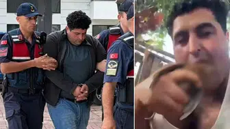 Alanya'da kuşlara eziyet eden şahıs tutuklanarak cezaevine gönderildi