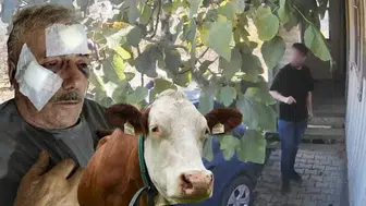 Kocaeli'nde Muştalı Komşu Kavgası: Öğretmen Yaşlı Adamı Hastanelik Etti