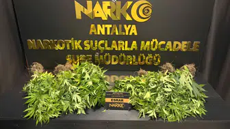 Antalya'da Narkotik Operasyonları: Binlerce Uyuşturucu Ele Geçirildi