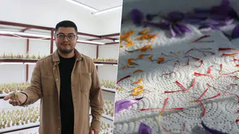 Kayseri'de 15 Bin Safran Yetiştirerek Dev Ülkelere Meydan Okudu