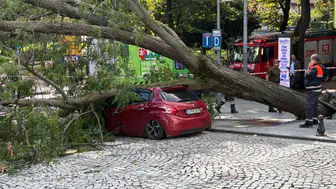 Şişli'de Park Halindeki Otomobilin Üzerine Ağaç Devrildi