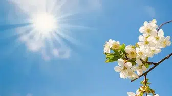 Gaziantep Hava Durumu: Bahar Havası Ne Kadar Devam Edecek?