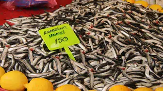 Hamsi fiyatları Menteşe'de neden 150 liraya geriledi? Balık tezgahlarında neler oluyor?