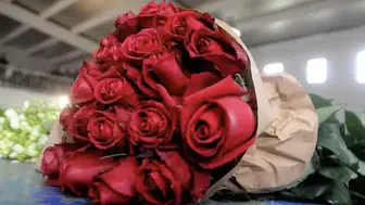 14 Şubat Sevgililer Günü Öncesi Gül Fiyatları Ne Durumda?