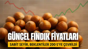 Serbest piyasada fındık fiyatları ne durumda? Haftanın ilk günü fındık fiyatları nasıl şekilleniyor?