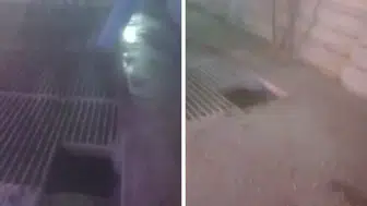 Şanlıurfa'da Mısır Silosuna Düşen İşçi Hayatını Kaybetti