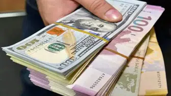 Serbest piyasada döviz kurları : Güncel Dolar ve Euro fiyatları ne kadar?