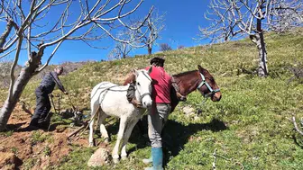 Germencik'te Günlük 8 Bin TL'ye İşçi Bulunamıyor