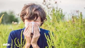 Saman nezlesi belirtilerini artıran yiyecekler nelerdir?
