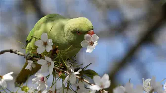 Mart ekinoksu ne zaman gerçekleşiyor ve bu doğa olayı ne anlama geliyor?