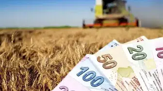 Mart ayı çiftçi destek ödemeleri yattı mı? Ne zaman yatırılacak?