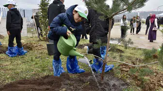 Ordu'da Orman Haftası Etkinlikleri Kapsamında 1500 Fidan Dikildi